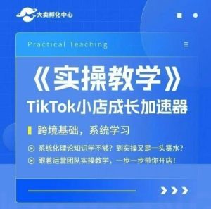大卖家孵化中心TikTok实操课,TikTok小店成长加速器,跨境基础系统学习,一步一步带你开店-八瞄副业网