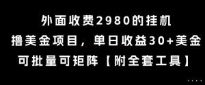 外面收费2980的挂G撸美金项目，单日收益30+美金，可批量可矩阵【揭秘】-八瞄副业网