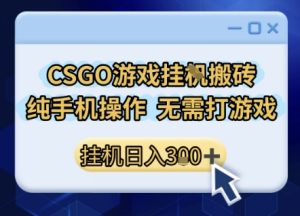 CSGO游戏挂G搬砖，小白纯手机即可操作，不用电脑打游戏，日入3张+，副业网创项目【揭秘】-八瞄副业网