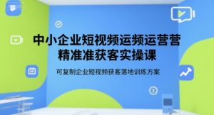 中小企业短视频运营精准获客实操课,可复制企业短视频获客落地训练方案-八瞄副业网