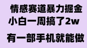 情感暴力掘金项目，新人操作一周挣了2W，长期稳定小白可做【揭秘】-八瞄副业网