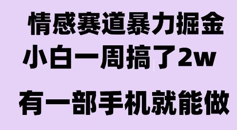 情感暴力掘金项目，新人操作一周挣了2W，长期稳定小白可做【揭秘】-八瞄副业网