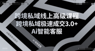 跨境私域线上高级课程，跨境私域极速成交3.0+Ai智能客服-八瞄副业网