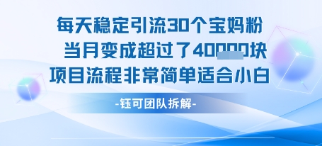 每天稳定引流30个人 当月变成超过了4个W项目流程非常简单适合小白-八瞄副业网
