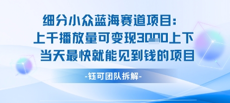 小众蓝海赛道项目：当天变现1k+适合新手操作 +适合长期玩-八瞄副业网