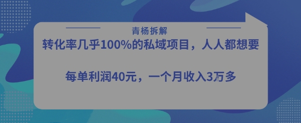 转化率最高的私域项目，每单利润40-50米，月入过1w-八瞄副业网