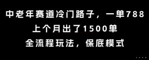 中老年赛道冷门路子，一单788，上个月出了1500单，全流程玩法，保底模式【揭秘】-八瞄副业网