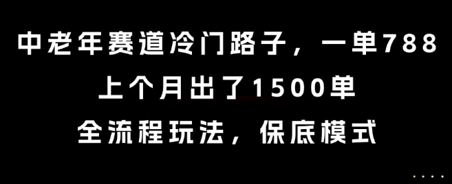中老年赛道冷门路子，一单788，上个月出了1500单，全流程玩法，保底模式【揭秘】-八瞄副业网