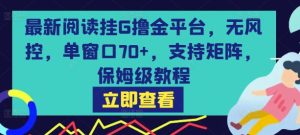 最新阅读挂G撸金平台，无风控，单窗口70+，支持矩阵，保姆级教程【揭秘】-八瞄副业网