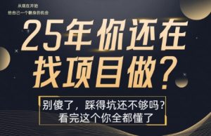25年，你还在疯狂的找项目吗？别傻了，看完这个你都懂了【揭秘】-八瞄副业网