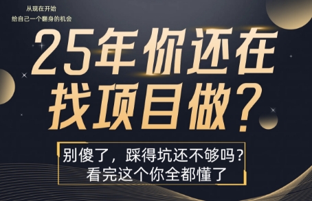 25年，你还在疯狂的找项目吗？别傻了，看完这个你都懂了【揭秘】-八瞄副业网