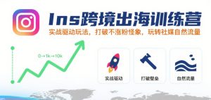 Ins跨境出海训练营，实战驱动玩法，打破不涨粉怪象，玩转社媒自然流量-八瞄副业网