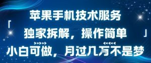 苹果手机技术服务，独家拆解，操作简单，小白可做，月过1W不是梦-八瞄副业网