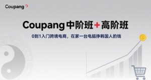Coupang中阶班+高阶班,0到1入门跨境电商,在家一台电脑挣韩国人的钱-八瞄副业网