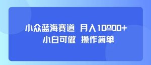 小众蓝海赛道，小白可做，操作简单，每天30分钟，月入1W+-八瞄副业网