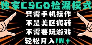 CSGO自动捡漏项目，最新独家玩法，不是美区搬砖，不需要了解和玩游戏，新手小白轻松月入1W+【揭秘】-八瞄副业网