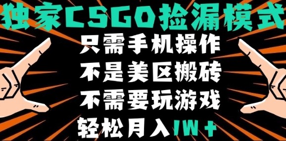 CSGO自动捡漏项目,最新独家玩法,不是美区搬砖,不需要了解和玩游戏,新手小白轻松月入1W+【揭秘】-八瞄副业网