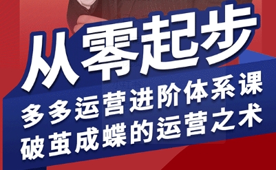 拼多多运营进阶系统课,从零起步,多多运营进阶体系课,破茧成蝶的运营之术-八瞄副业网