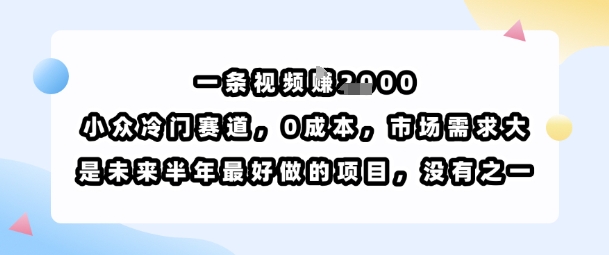 一条视频挣1k，小众冷门赛道，0成本，市场需求大，是未来半年最好做的项目，没有之一-八瞄副业网