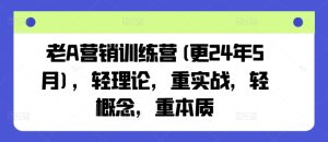 老A营销训练营(更25年8月),轻理论,重实战,轻概念,重本质-八瞄副业网
