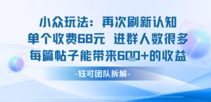 小众玩法再次刷新认知单个收费68米进群人数很多每篇帖子能带来6张的收益-八瞄副业网