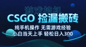 8月最新游戏搬砖,CSGO纯挂G,不需要玩游戏,实现真挂G,月入1W+【揭秘】-八瞄副业网