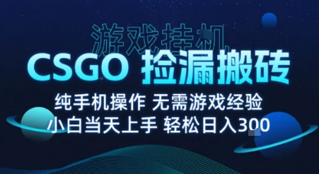 8月最新游戏搬砖,CSGO纯挂G,不需要玩游戏,实现真挂G,月入1W+【揭秘】-八瞄副业网