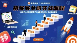 拼多多全阶实战课程,从新手小白到运营高手,海量实战玩法+全年实时更新【2025年9月更新】-八瞄副业网