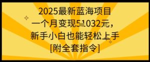 2025最新蓝海项目一个月变现1w+新手小白也能轻松上手【附全套指令】-八瞄副业网