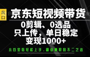 你出账号，我来运营，保底日入1k+，开启躺賺模式【揭秘】-八瞄副业网