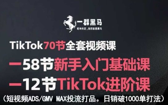 TikTok全套视频课,新手入门+进阶课,短视频ADS-GMV MAX投流打品,日销破1000单打法-八瞄副业网