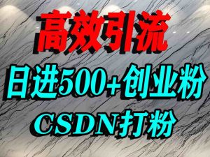 怎么打创业粉？CSDN又一个你不知道的打粉引流神秘平台，单人日引500+精准流量-八瞄副业网