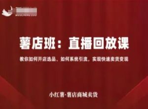 小红薯薯店商城卖货直播回放课,教你如何开店选品、如何系统引流,实现快速卖货变现-八瞄副业网