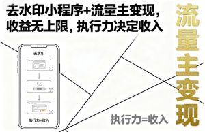 去水印小程序+流量主变现，收益无上限，执行力决定收入-八瞄副业网