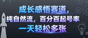 成长感悟赛道，纯自然流，百分百起号率 一天轻松多张-八瞄副业网