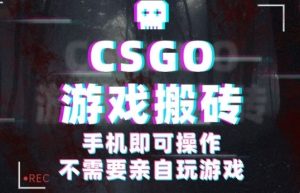 CSGO游戏挂G捡漏，单日扫货5张+，年底小高峰上车可吃肉，手机即可操作，兼职副业创业网创【揭秘】-八瞄副业网