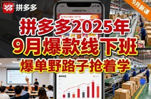 拼多多2025年9月爆款线下班，爆单野路子抢着学-八瞄副业网