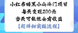 小红书暗黑小众冷门项目每天变现2张当天可能就会有收益-八瞄副业网