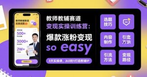 教师教辅赛道变现实操训练营,爆款涨粉变现so easy-八瞄副业网