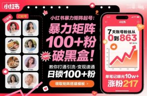 小红书暴力矩阵起号,教你打通引流-变现速通,日锁100+粉,破流量黑盒-八瞄副业网