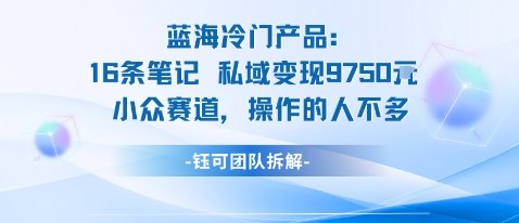 蓝海项目：16条笔记私域变现9750米小众赛道操作的人不多-八瞄副业网
