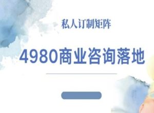 4980商业咨询师落地课程-ip运营高客单教程-八瞄副业网