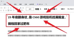 25年底翻身仗,靠CSGO游戏挂G捡漏掘金,搞钱回家过肥年【揭秘】-八瞄副业网