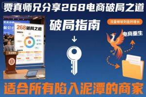 贾真师兄分享268电商破局之道-适合所有陷入泥潭的商家-八瞄副业网