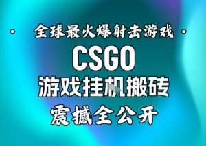 【年底大揭秘】基于全球最火爆的射击CSGO游戏挂G搬砖，日入5张+，震撼公开-八瞄副业网