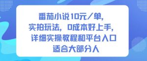 番茄小说10米每单，实拍玩法，0成本好上手，详细实操教程和平台入口适合大部分人-八瞄副业网