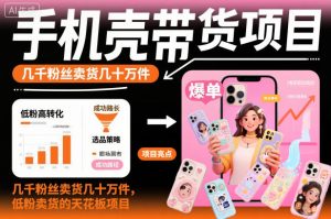 手机壳带货项目，几千粉丝卖货几十万件，短视频低粉卖货的天花板项目-八瞄副业网