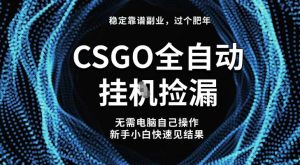 【稳定副业】全球最热门游戏CSGO全自动捡漏，最新玩法，新手小白日入5张+【揭秘】-八瞄副业网