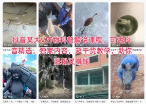 抖音某大V万物科普解说课程，可进抖音精选，独家内容，超干货教学，助你涨粉又賺钱-八瞄副业网