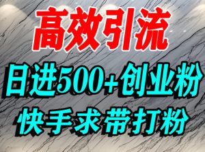 怎么打创业粉？快手求带视角精准引流创业粉，宝妈、学生群体日进500+精准流量-八瞄副业网